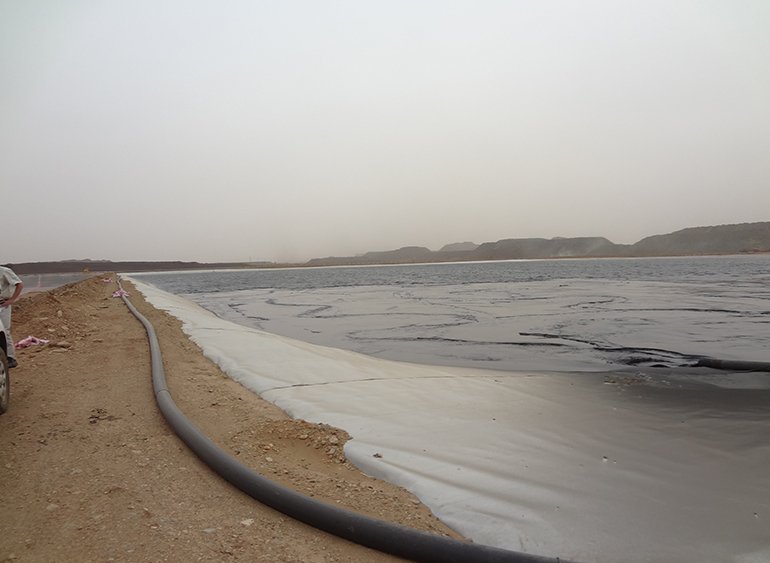 tasiast starter cell