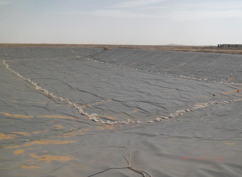 tasiast starter cell