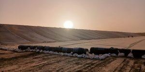 Batı Afrika Burkina Faso'da Bomboré Altın Madeni TSF Projesine Başladık