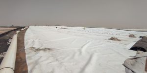 IMG_20230913_142924 IMG_20230913_142924